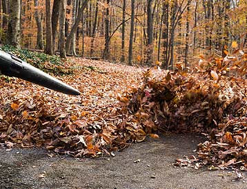 Soufflage des feuilles